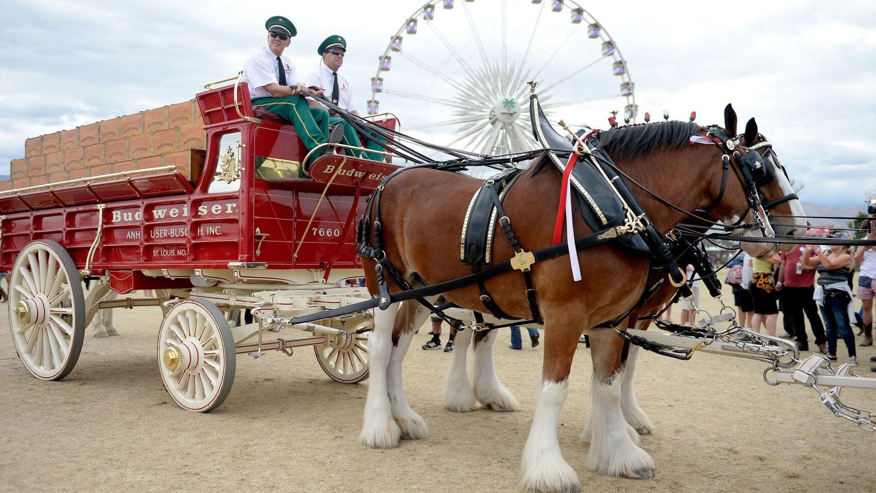 Budweiser won’t cut off the tails of its famous Clydesdale horses
